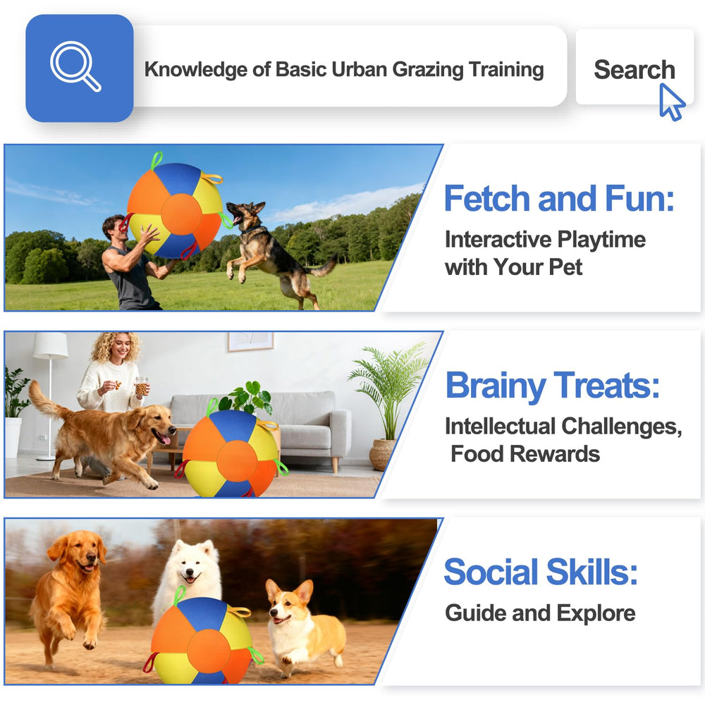 AIERSA Herding Ball supports exercise and mood during playtime.