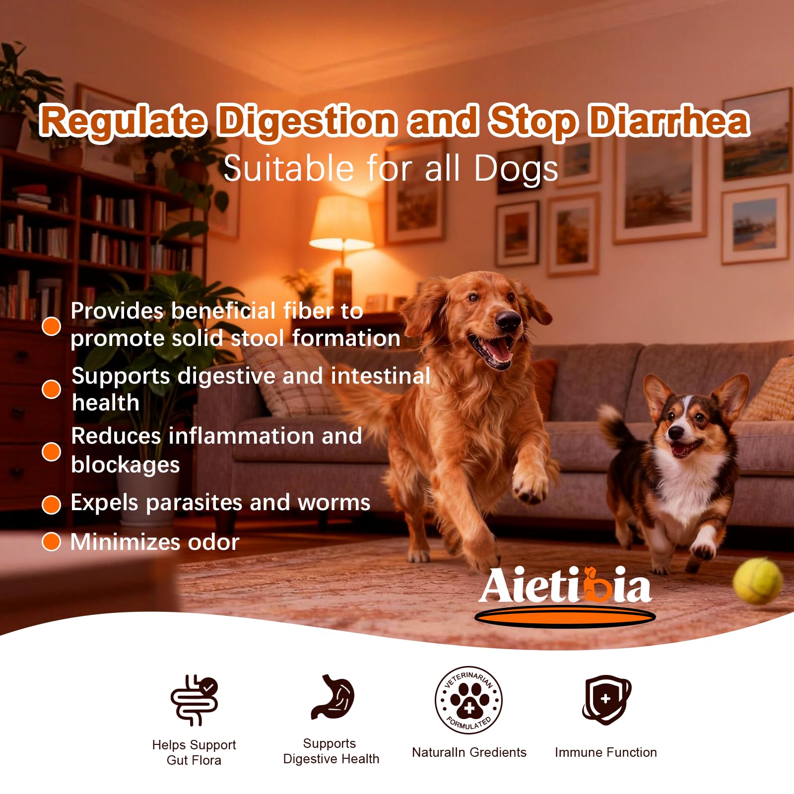 Aietibia probiotic digestive enzymes blend promoting gut balance