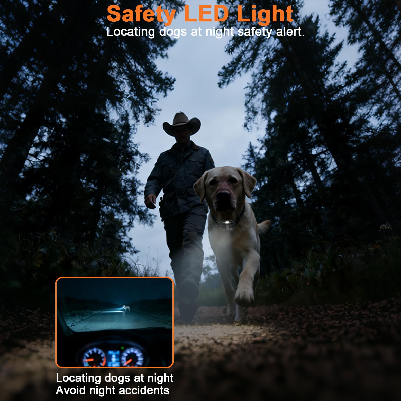 Aikko night safety light helps locate your dog after dusk