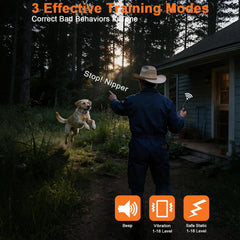 Aikko waterproof receiver dog collar ready for outdoor training in rain