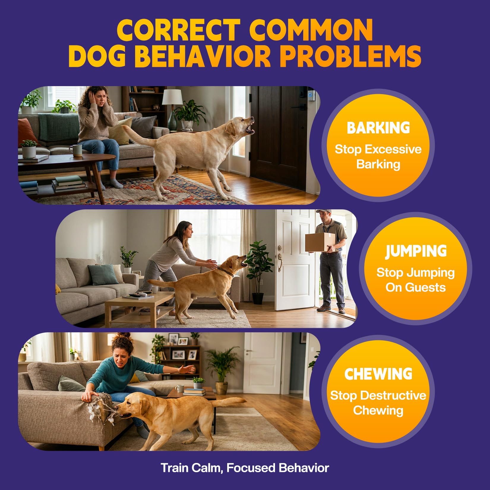 AIMSEIZE spray interrupts barking when guests arrive indoors.