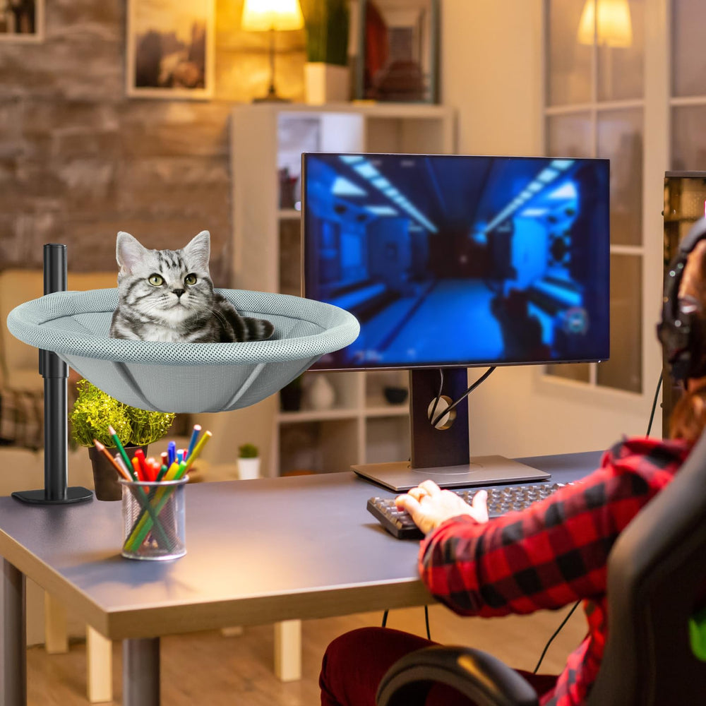 Supports up to 60 pounds for sturdy indoor use.