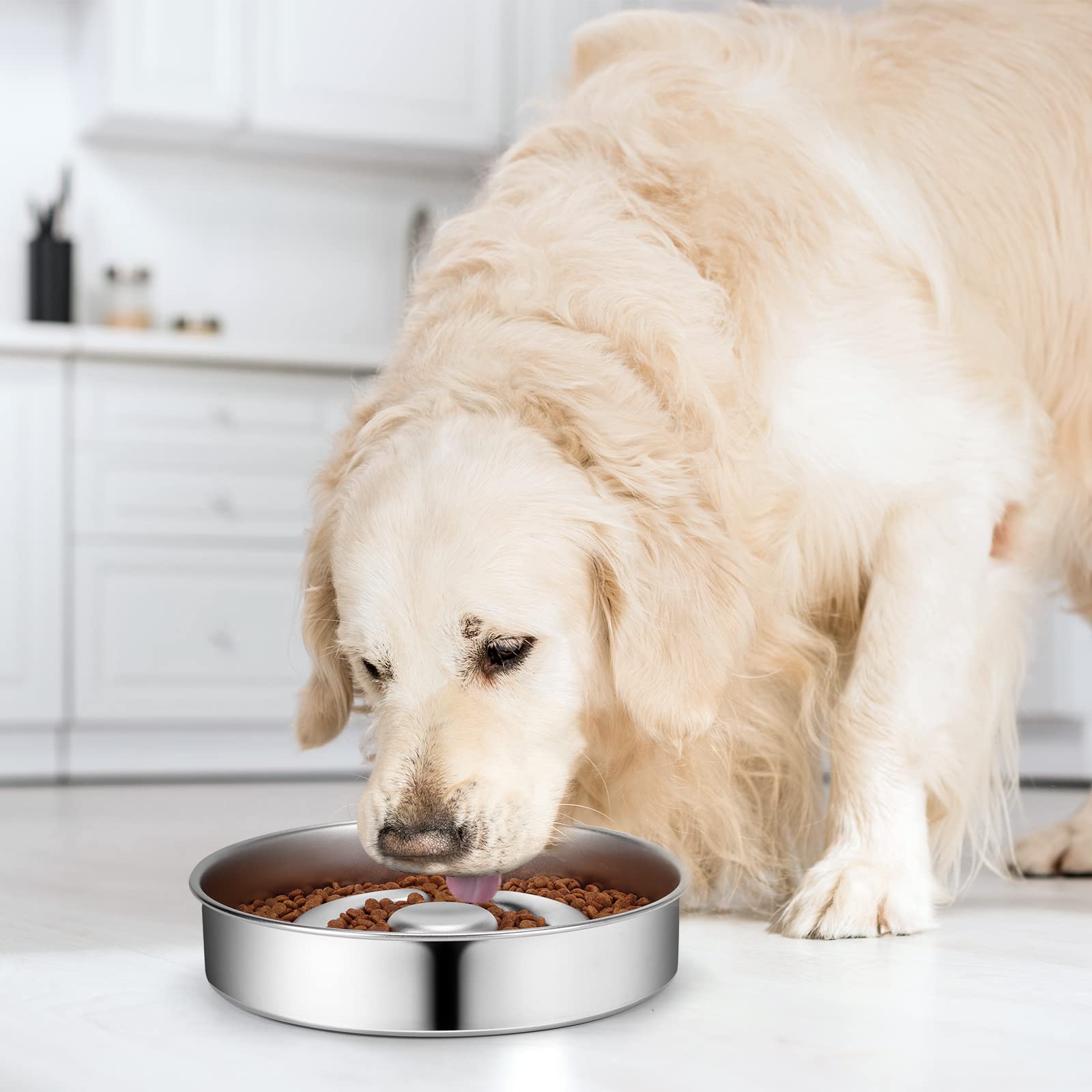 Aiperro one-piece mold enables easy maintenance and hygiene.