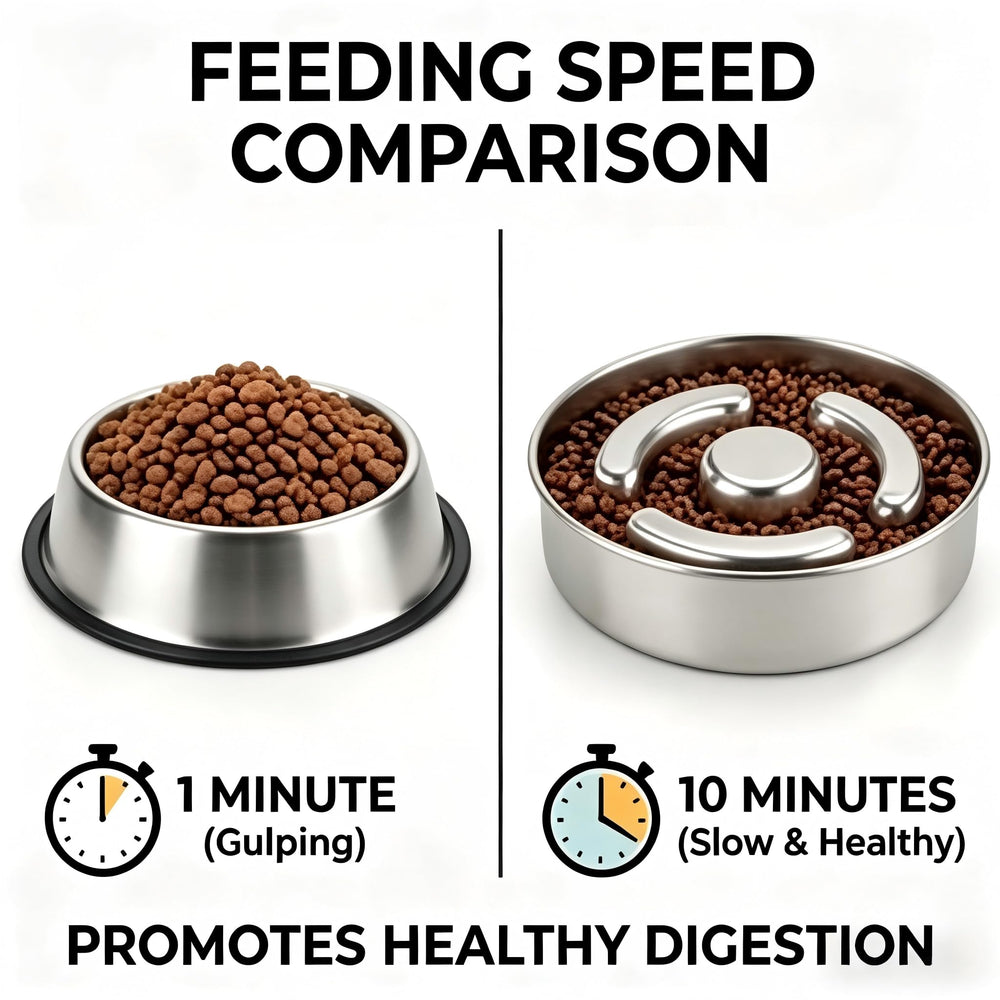 AIPERRO slow feeder bowl non-slip base prevents sliding during meals