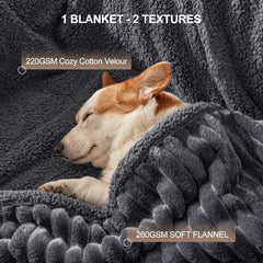AIPERRO sofa protector blanket guarding against spills and fur on a couch.