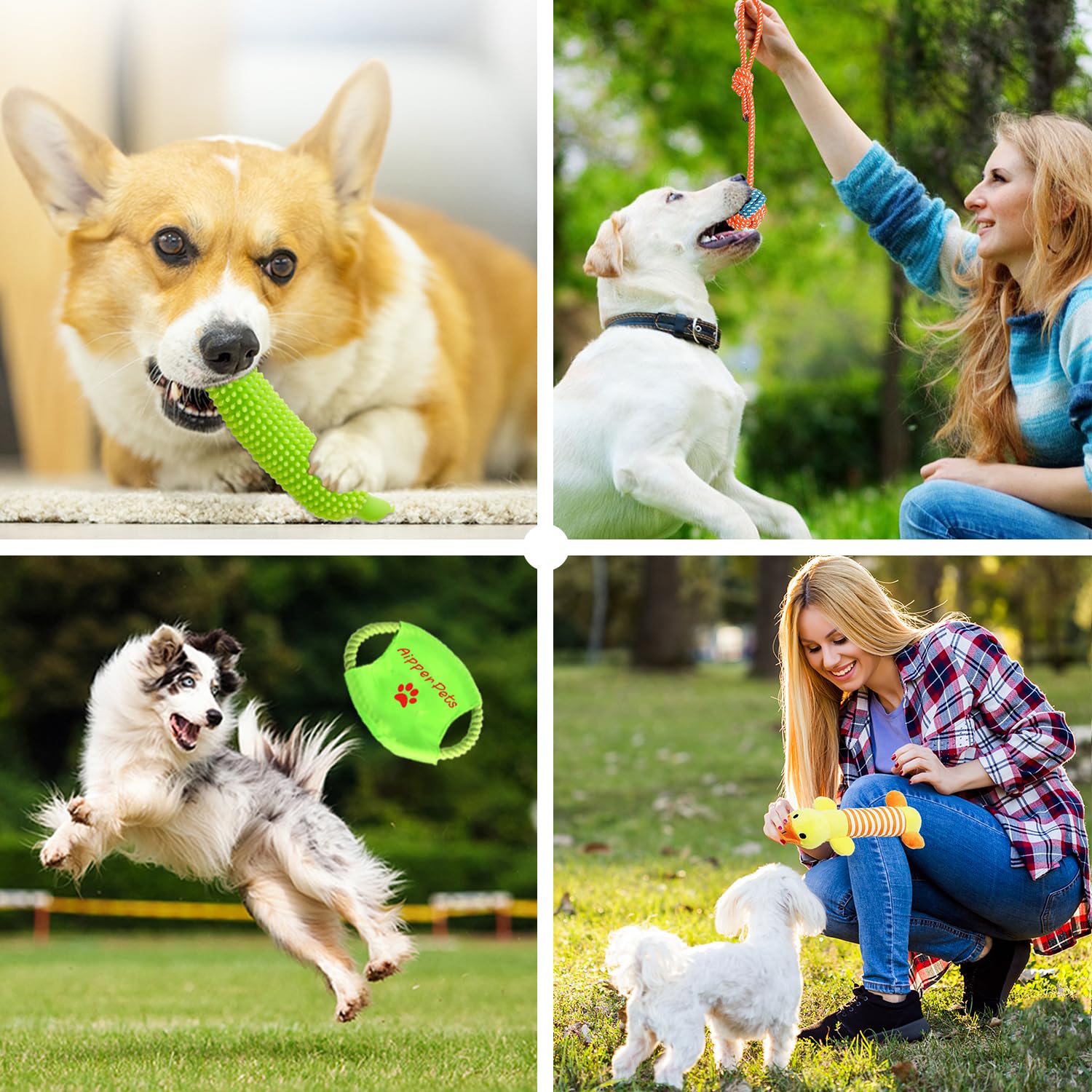 Aipper poop bag rolls dispenser for convenient walks and cleanup