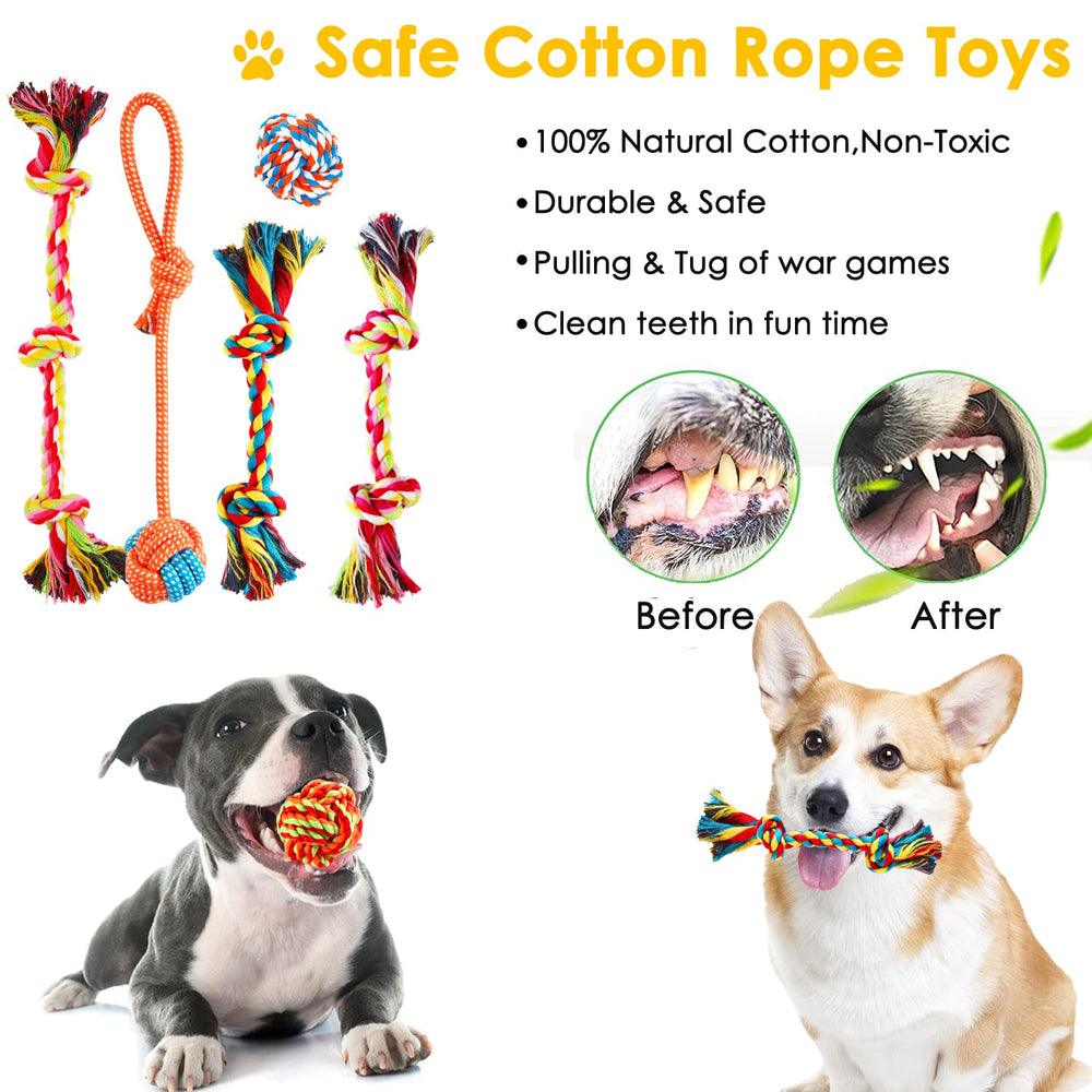 Aipper squeaky ball set for fetching and outdoor activity