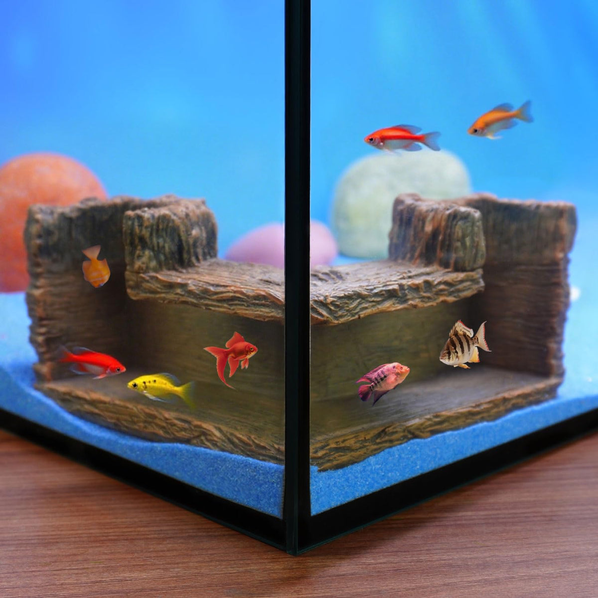 Aiqriwv 90° corner cave view for real-time observation of aquatic residents.