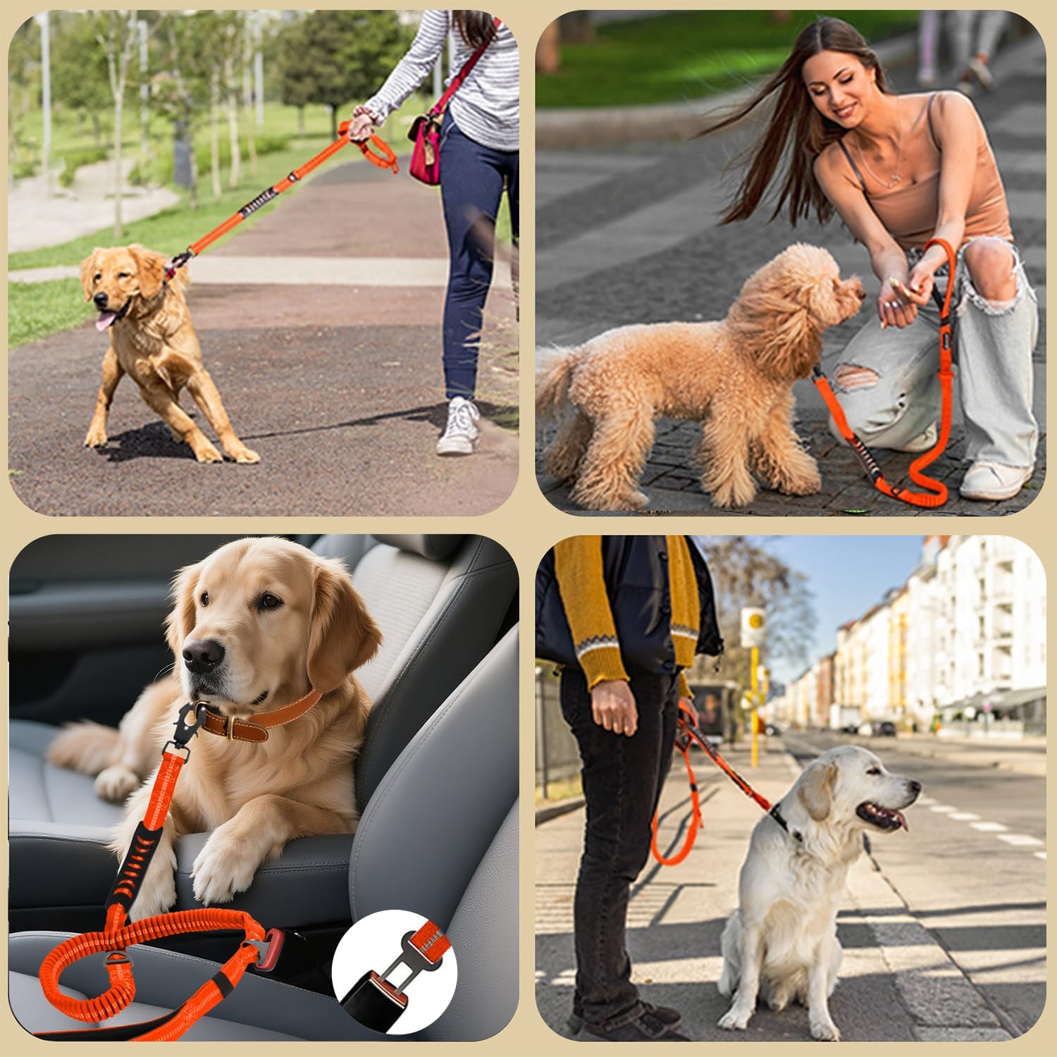 AIRUIDOG 360° frog clip reduces leash tangling and twisting.