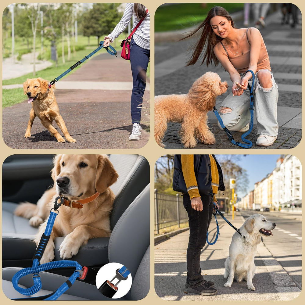 AIRUIDOG heavy duty leash in blue color boosts visibility and style on your walks.