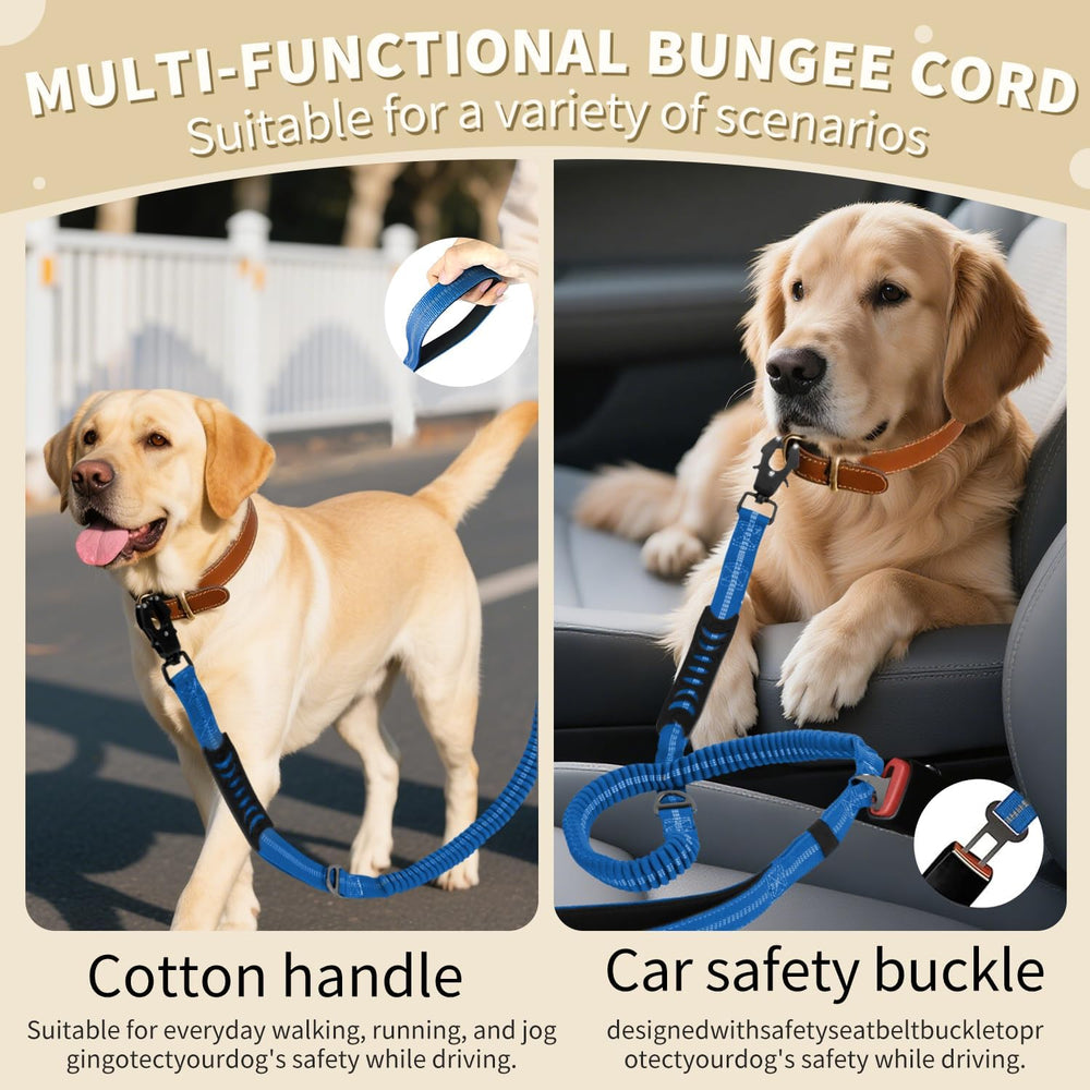 AIRUIDOG heavy duty leash made from durable nylon with reinforced stitching for strong pull resistance.