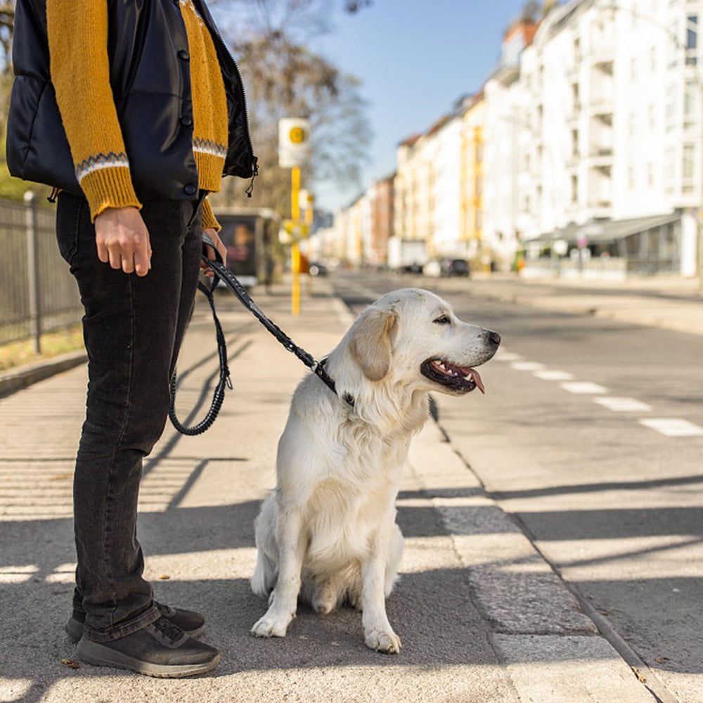 AirUIDOG heavy-duty nylon stitching withstands strong pulls.