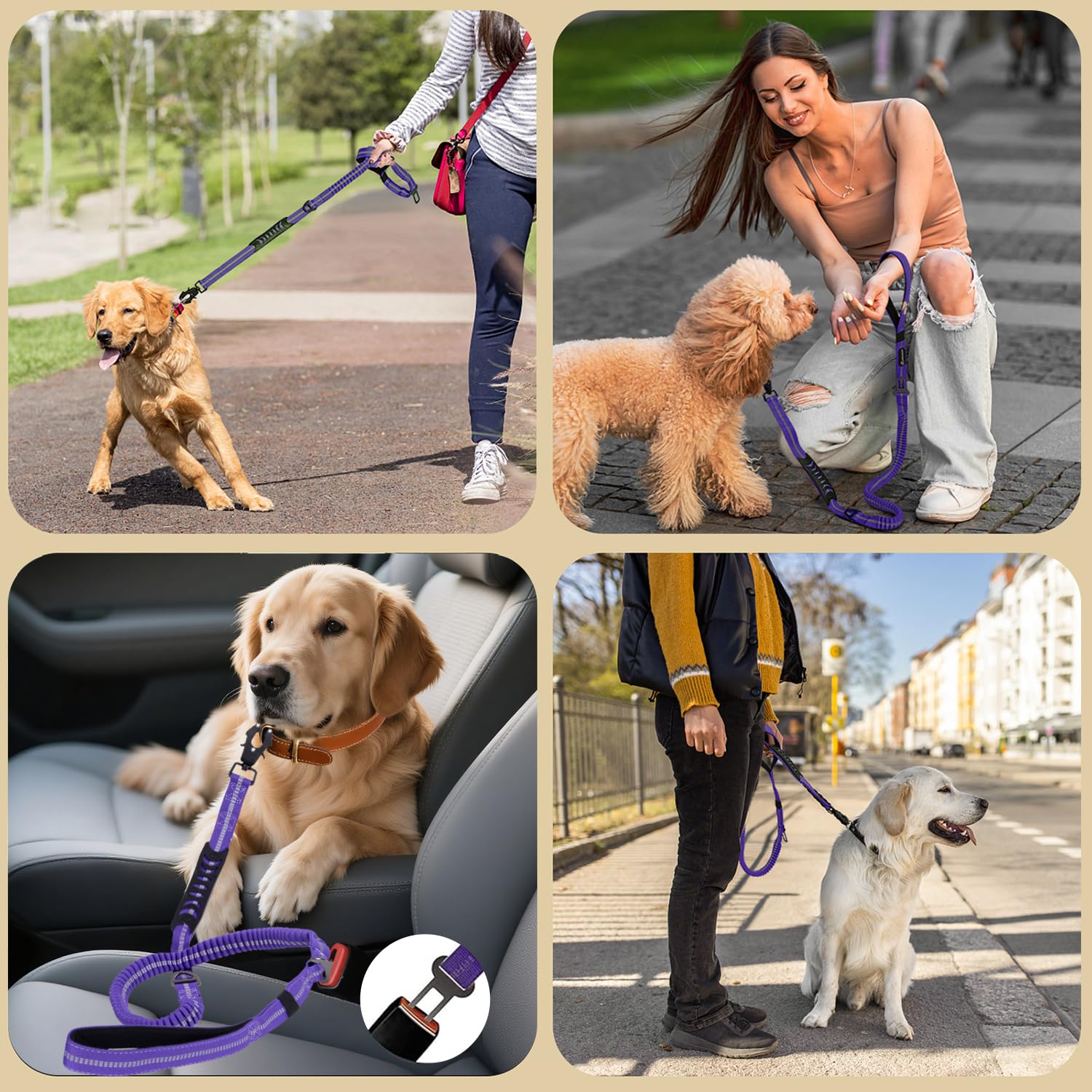 Airuidog 4-in-1 design offers versatility for walks, runs, and crowded streets.