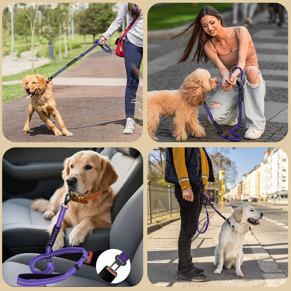 Airuidog bungee leash absorbs shocks to reduce jerks while your dog pulls.