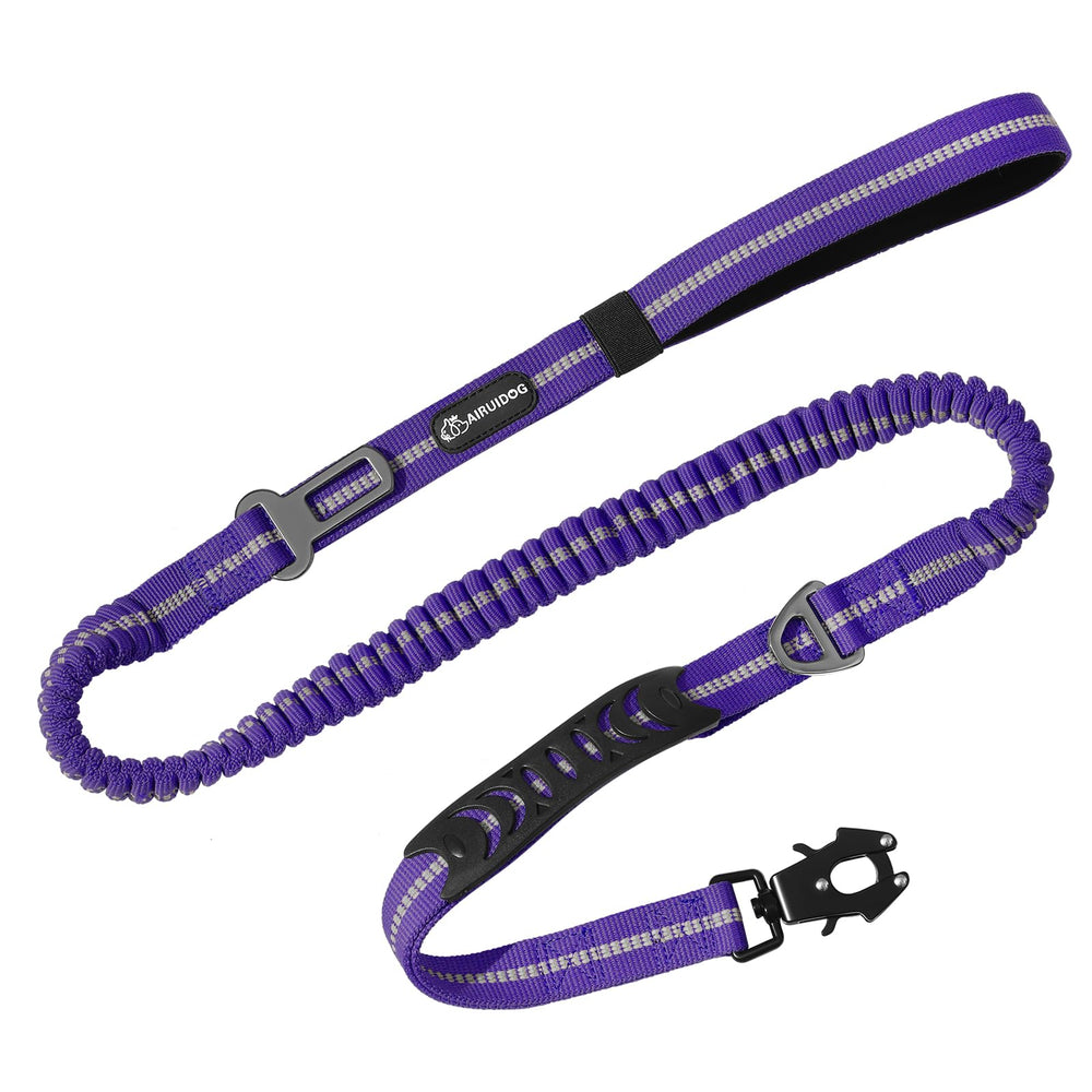 Airuidog leash in action demonstrates secure control during outdoor adventures.
