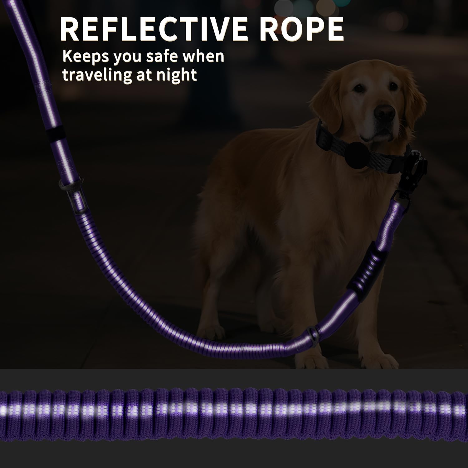 Airuidog seatbelt buckle design adds car safety for travel with pets.