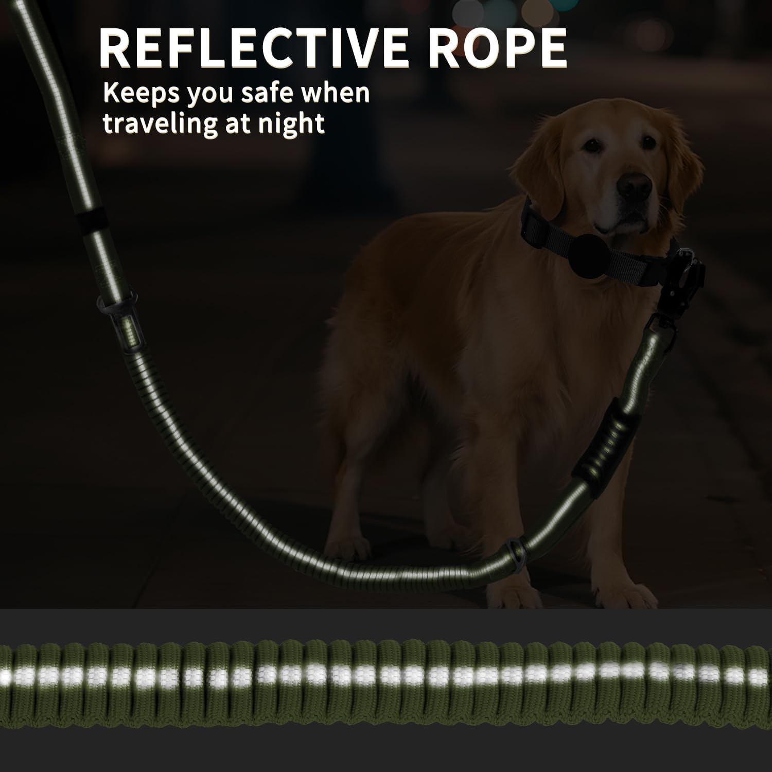AirUIDOG double-handles provide versatile control on crowded paths.