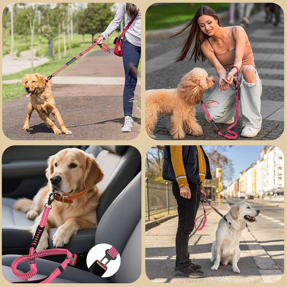 AIRUIDOG nylon leash with reinforced stitching for strong pulls