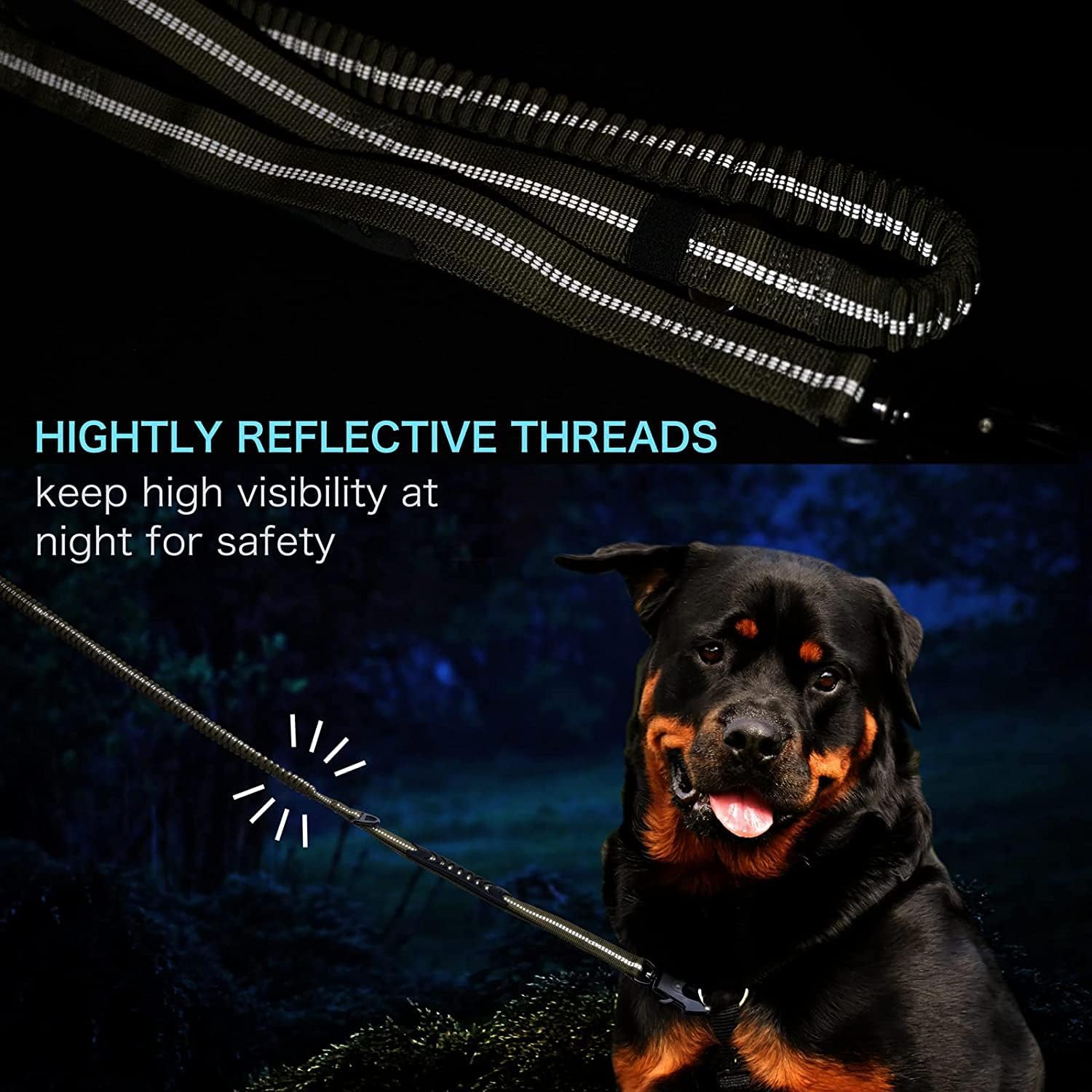 AirUIDOG reflective strips boost visibility during night walks.