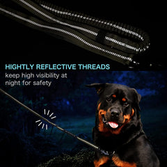 AirUIDOG reflective strips boost visibility during night walks.