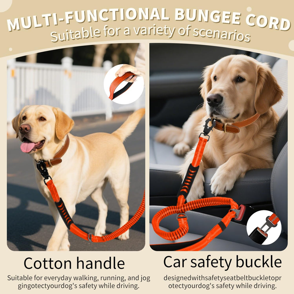 AIRUIDOG reflective threads enhance visibility during night walks.