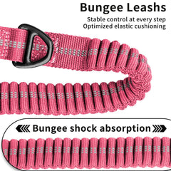 AIRUIDOG shock-absorbing leash reduces jolts during runs