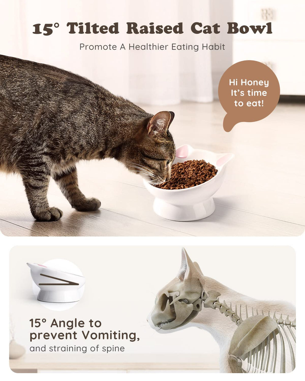 Cat eating from AISBUGUR raised bowl highlighting improved feeding posture