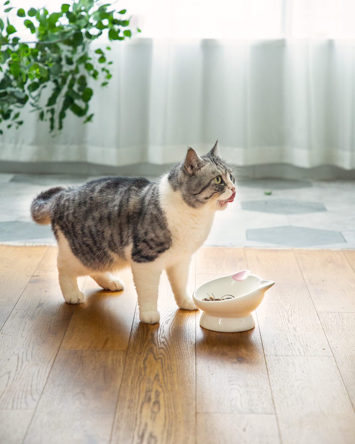 AISBUGUR pink dual bowls set enhances the pet dining experience