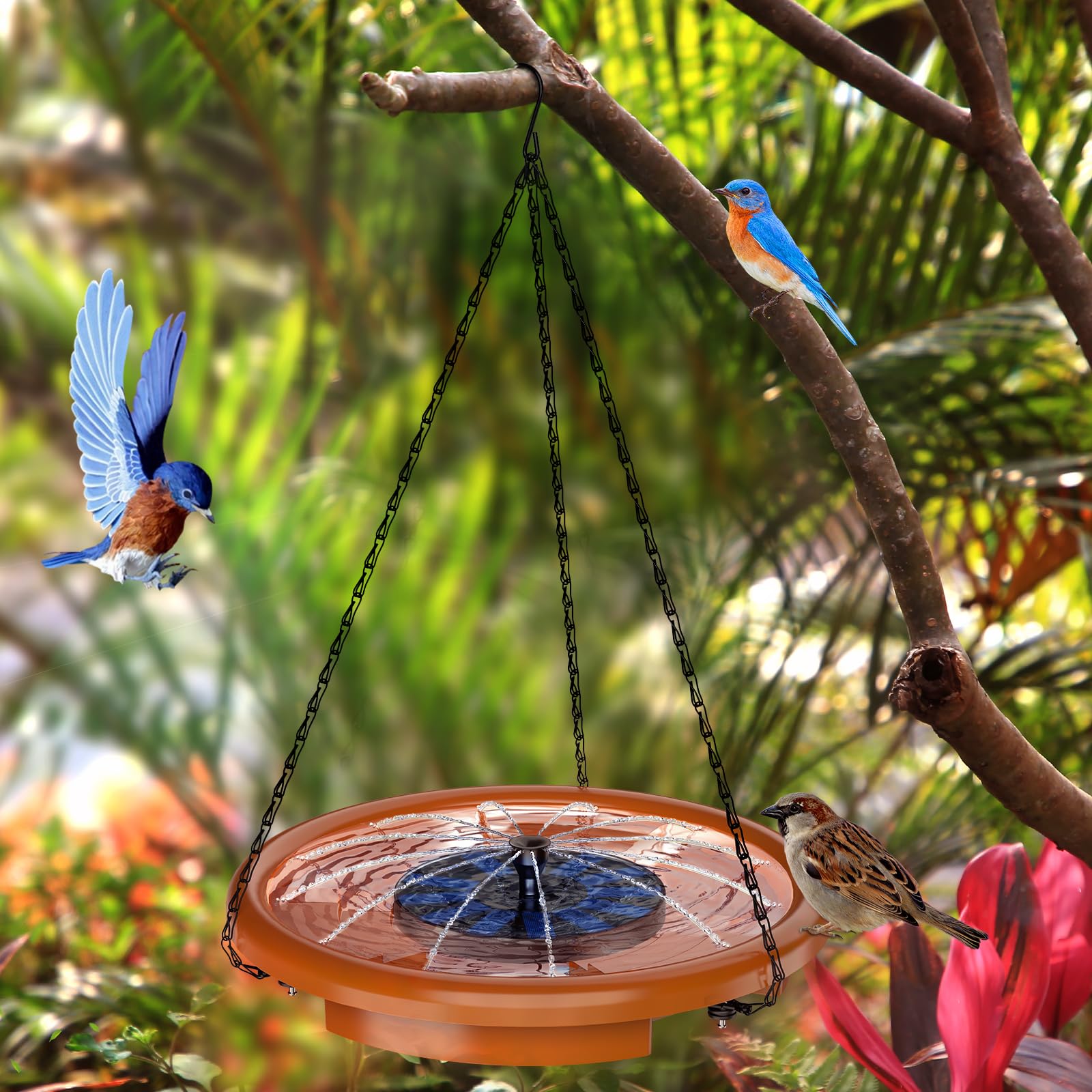 AISITIN bird bath with 3-tier steps supports safe landings for birds.