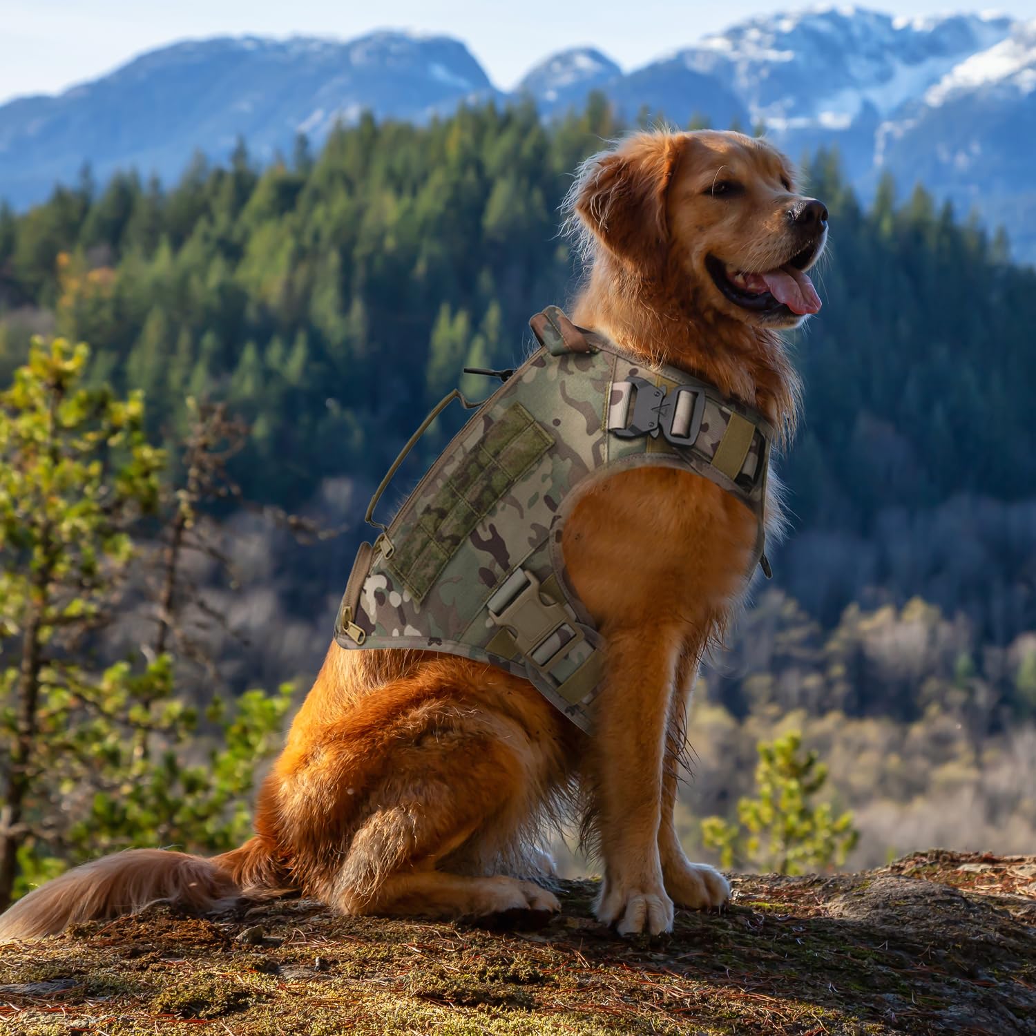 AIWAI camouflage harness with Molle panels for modular accessories.