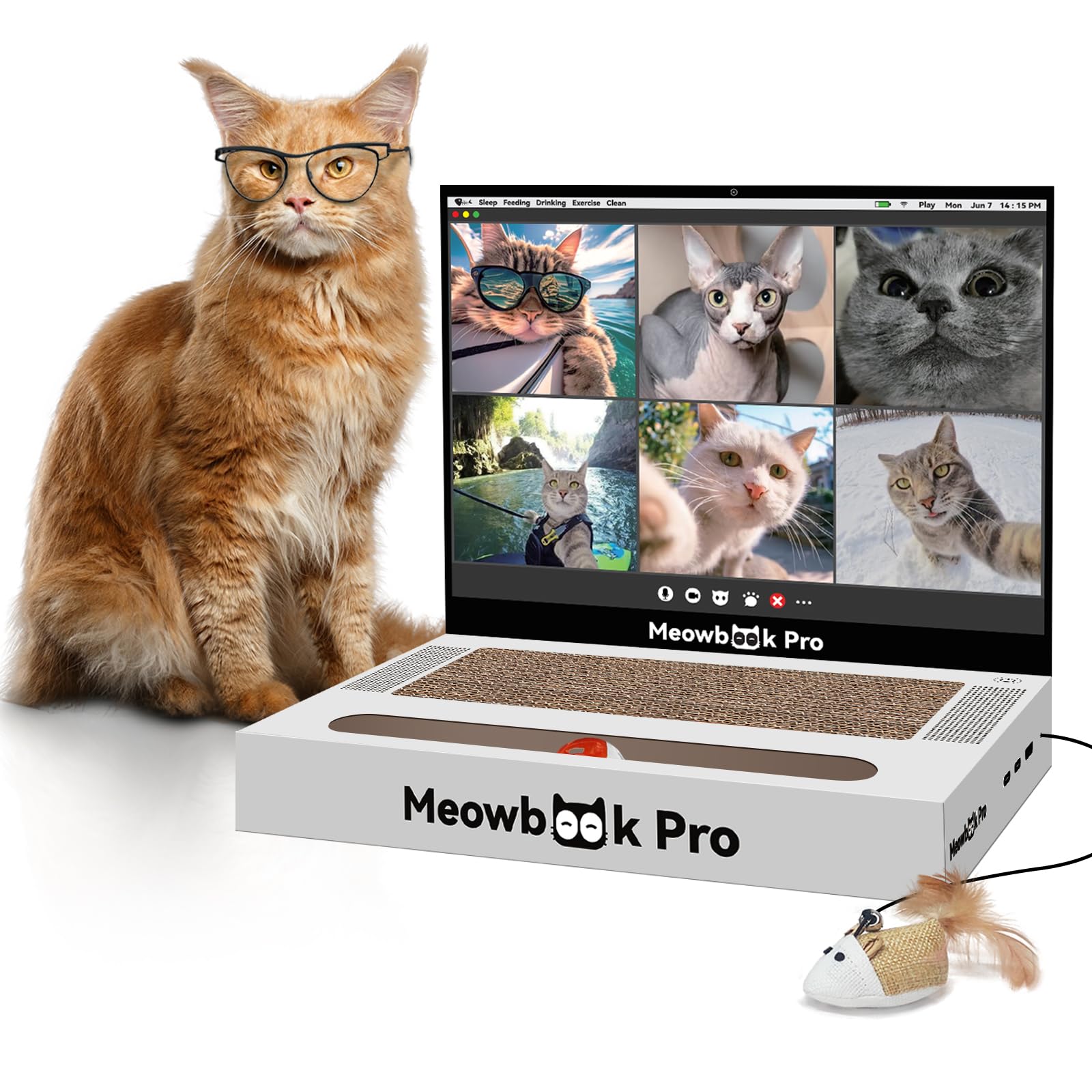 AIWEILUCK cat-scratcher laptop front view promotes safe scratching and engagement