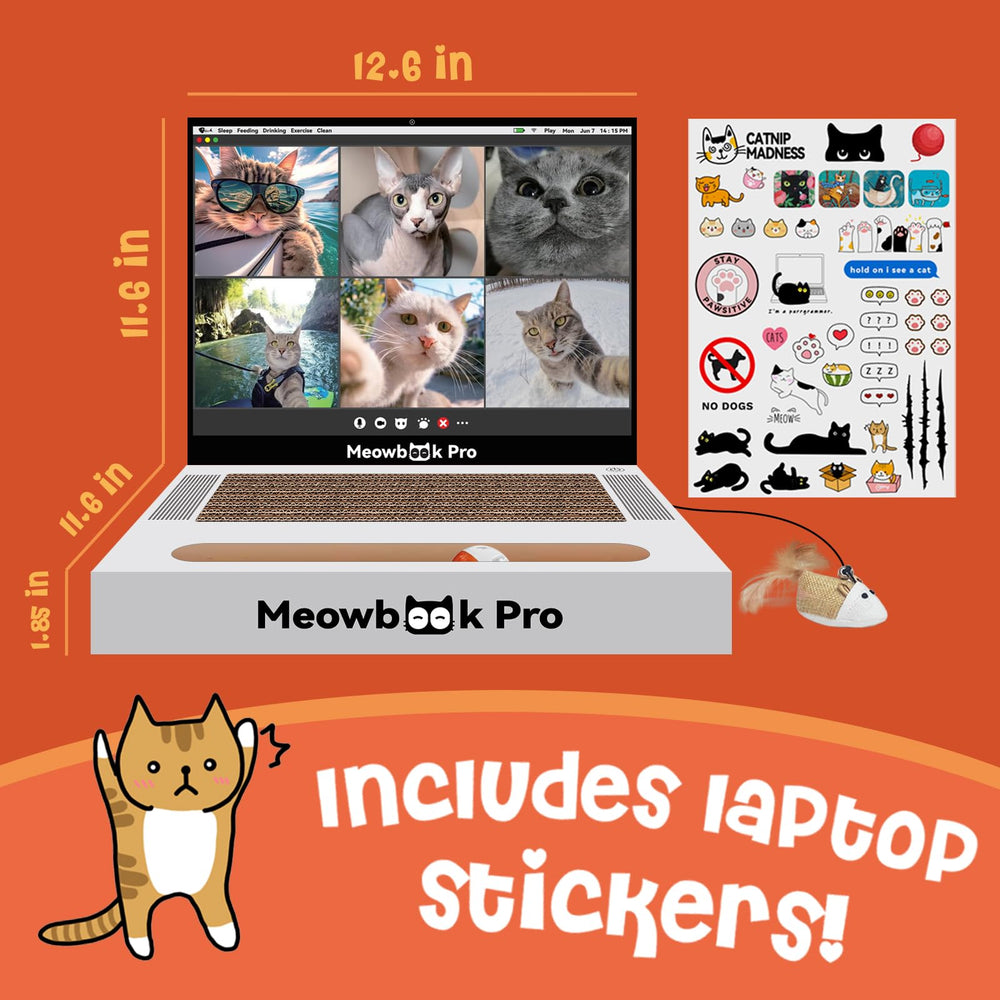 AIWEILUCK cat-scratcher laptop-open shows interactive setup for curious cats