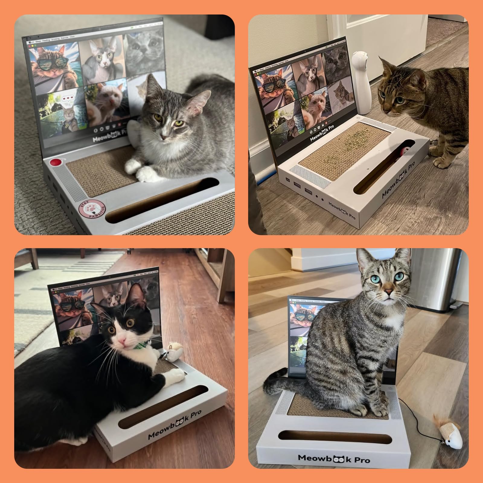 AIWEILUCK cat-scratcher-packaging dimensions show compact storage