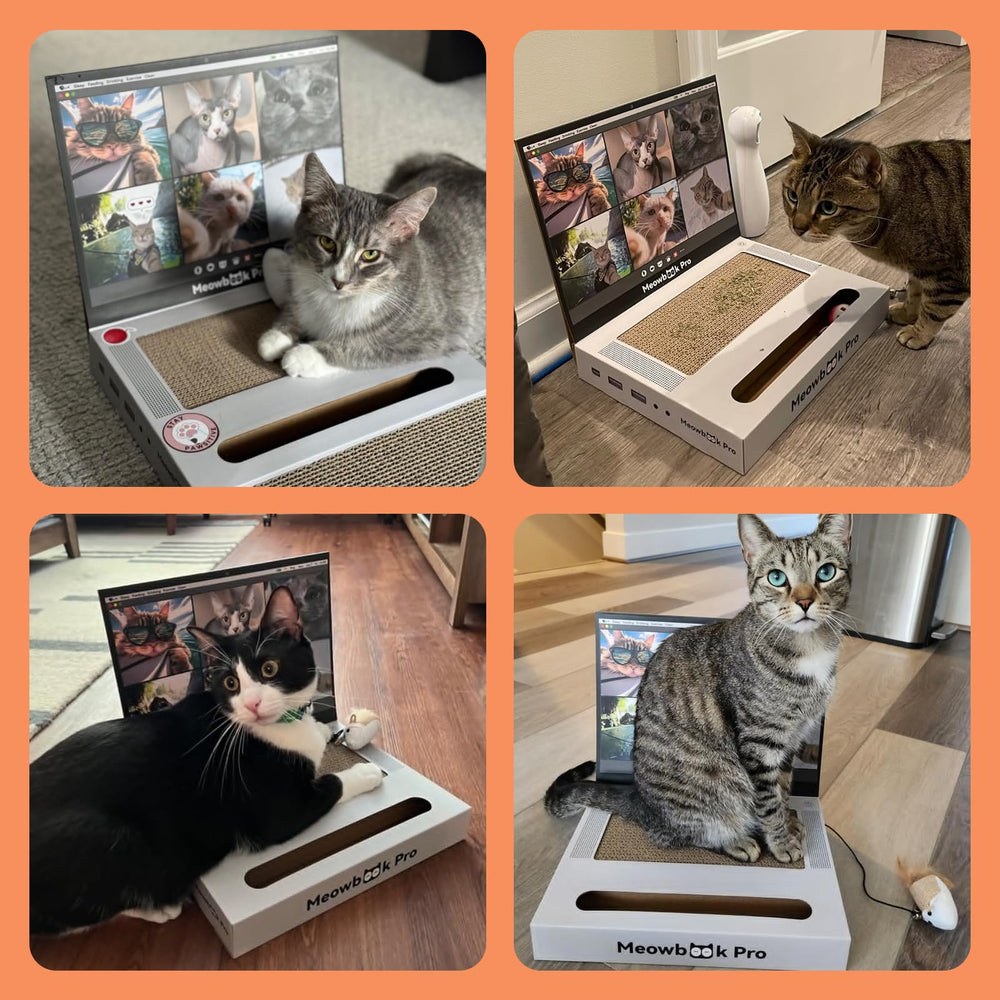AIWEILUCK cat-scratcher-packaging dimensions show compact storage
