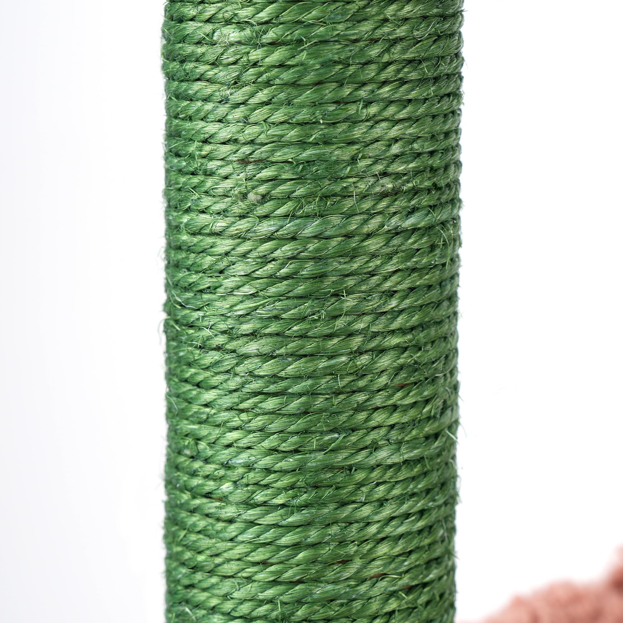 AIWIKIDE cactus cat tree round hammock offers a comfy nap after active play.