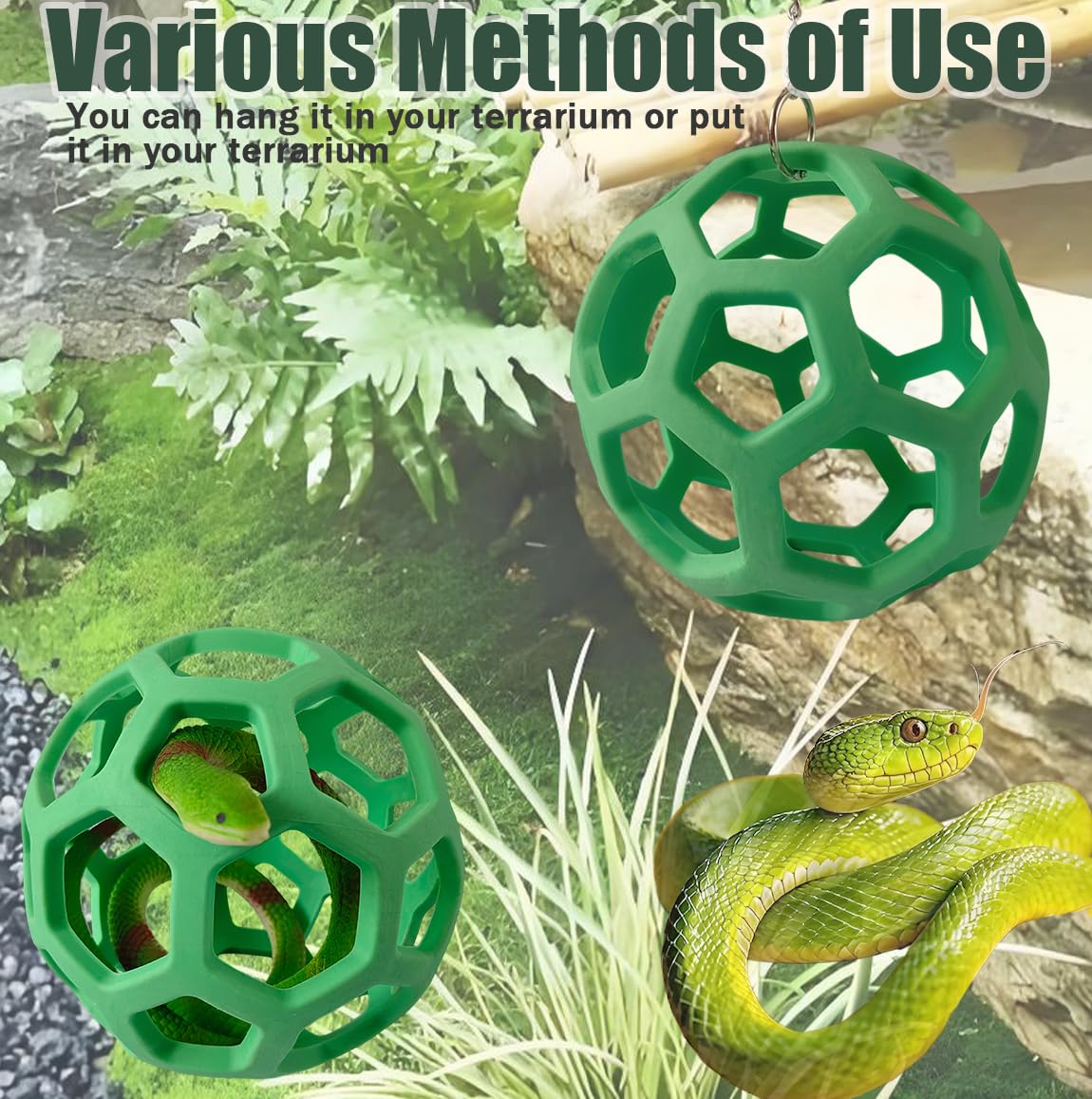 Ajqxh small reptiles enrichment use encouraging natural movement