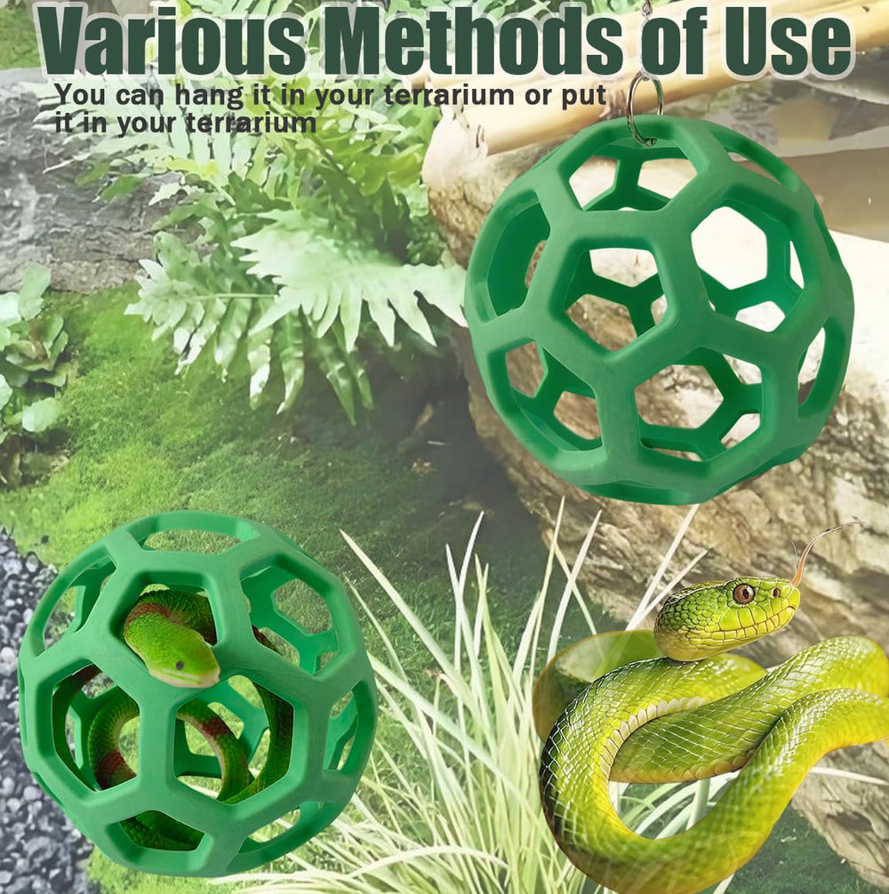 Ajqxh small reptiles enrichment use encouraging natural movement