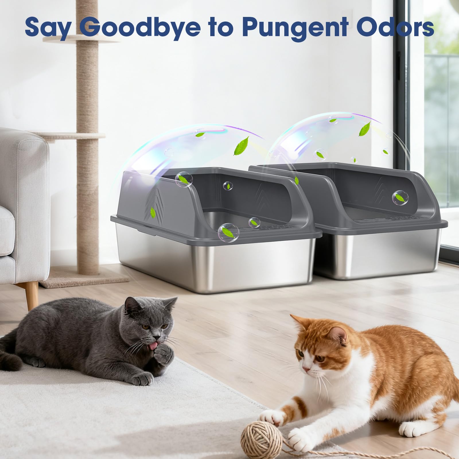 AKAOLA ideal for multi-cat homes with big cats and space constraints