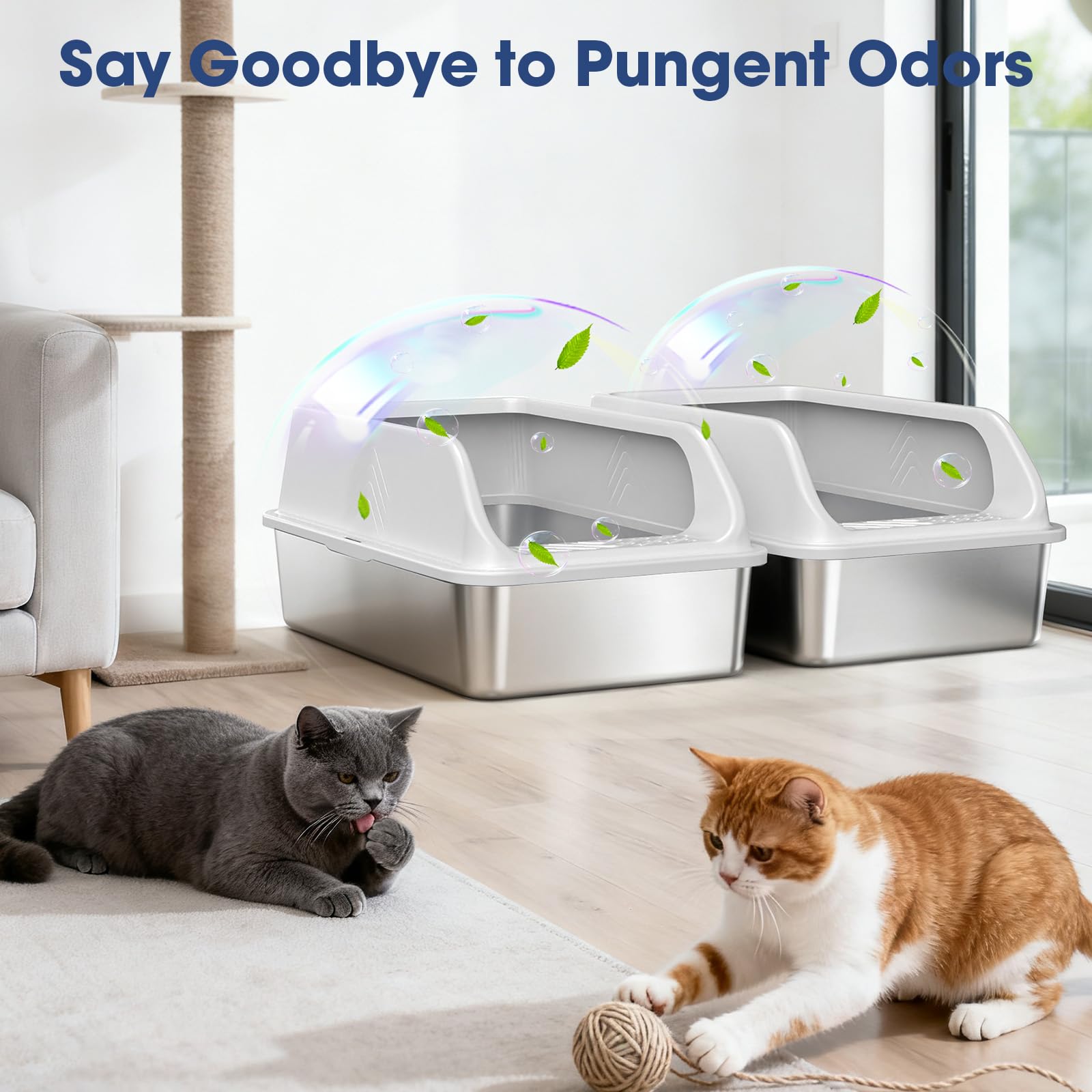 AKAOLA XL boxes provide ample space for multi-cat households with mats.