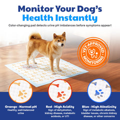 AKC Advanced Puppy Pads quick-dry absorption keeps puppy paws dry