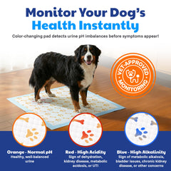 AKC Advanced Puppy Pads quick-dry absorption keeps paws dry