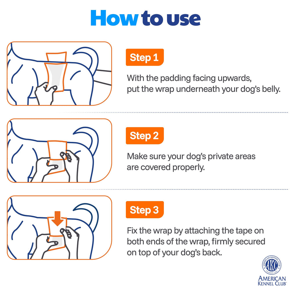 American Kennel Club wrap keeps outings tidy and stress-free