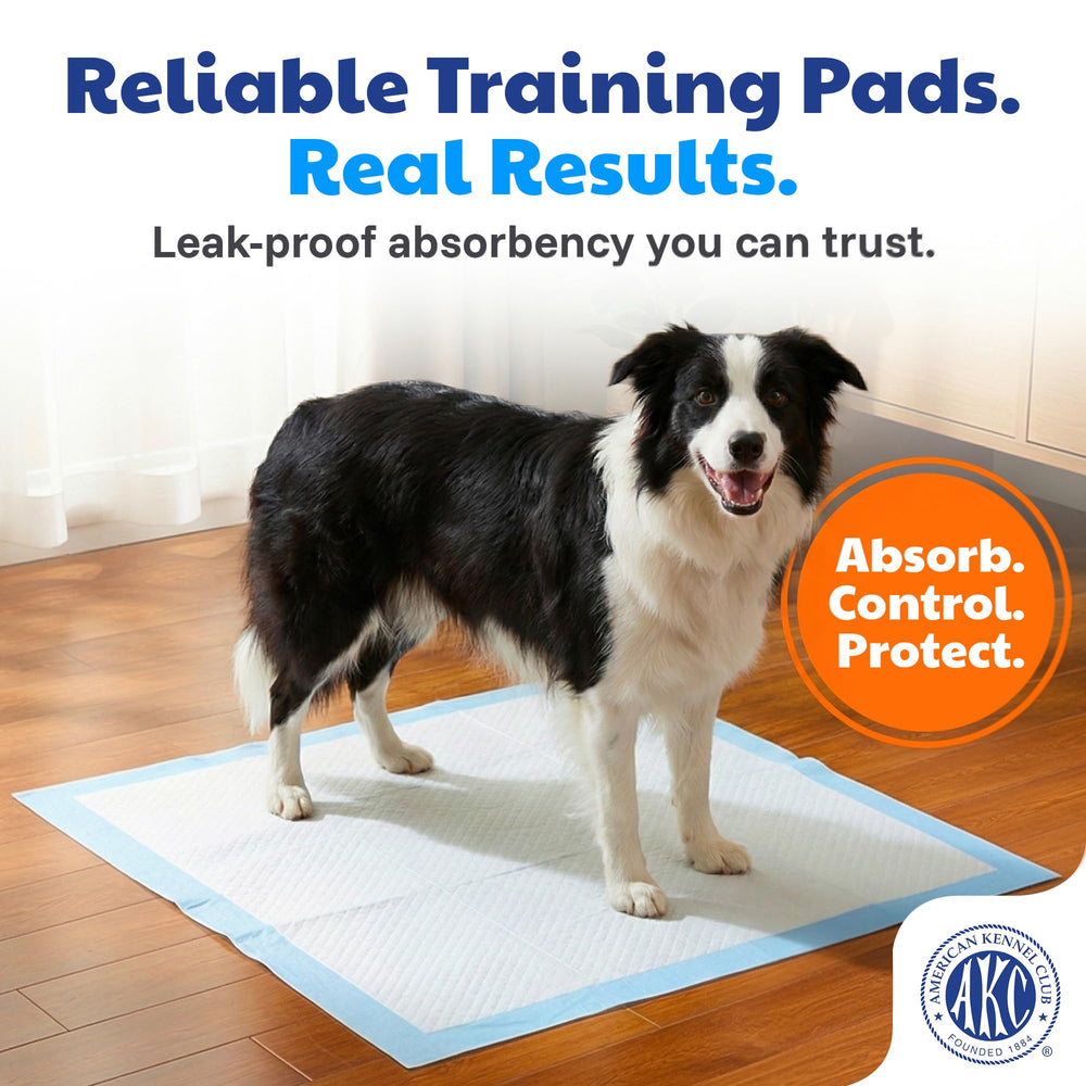 AKC puppy training pad features 3-in-1 attractant for easier training.