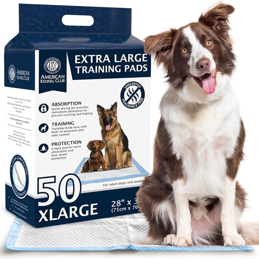 AKC puppy training pad demonstrates leak-proof top layer protecting floors.