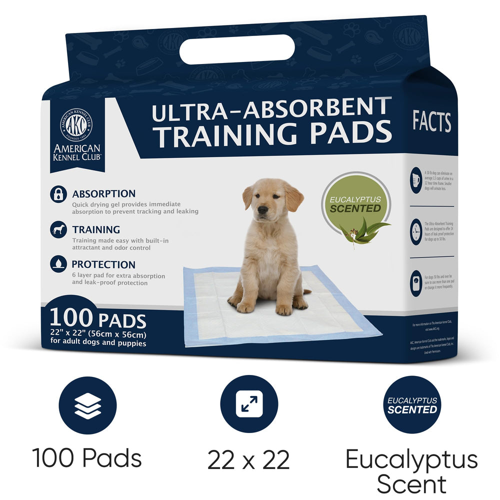AKC62975 pad with SAP quick-dry technology demonstrating rapid liquid absorption