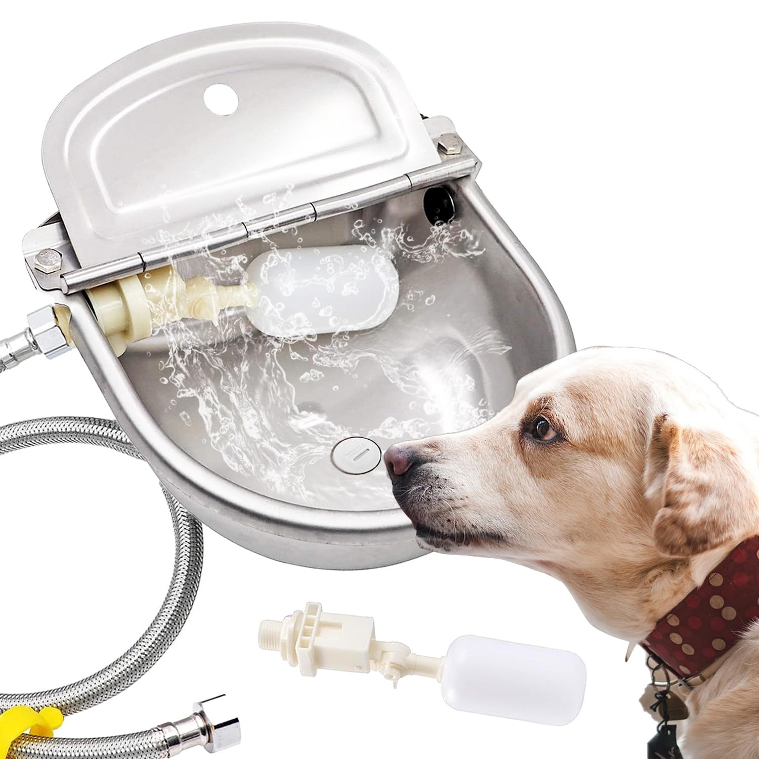 AKUATUZ automatic water bowl dispenser with large capacity for outdoor dogs.