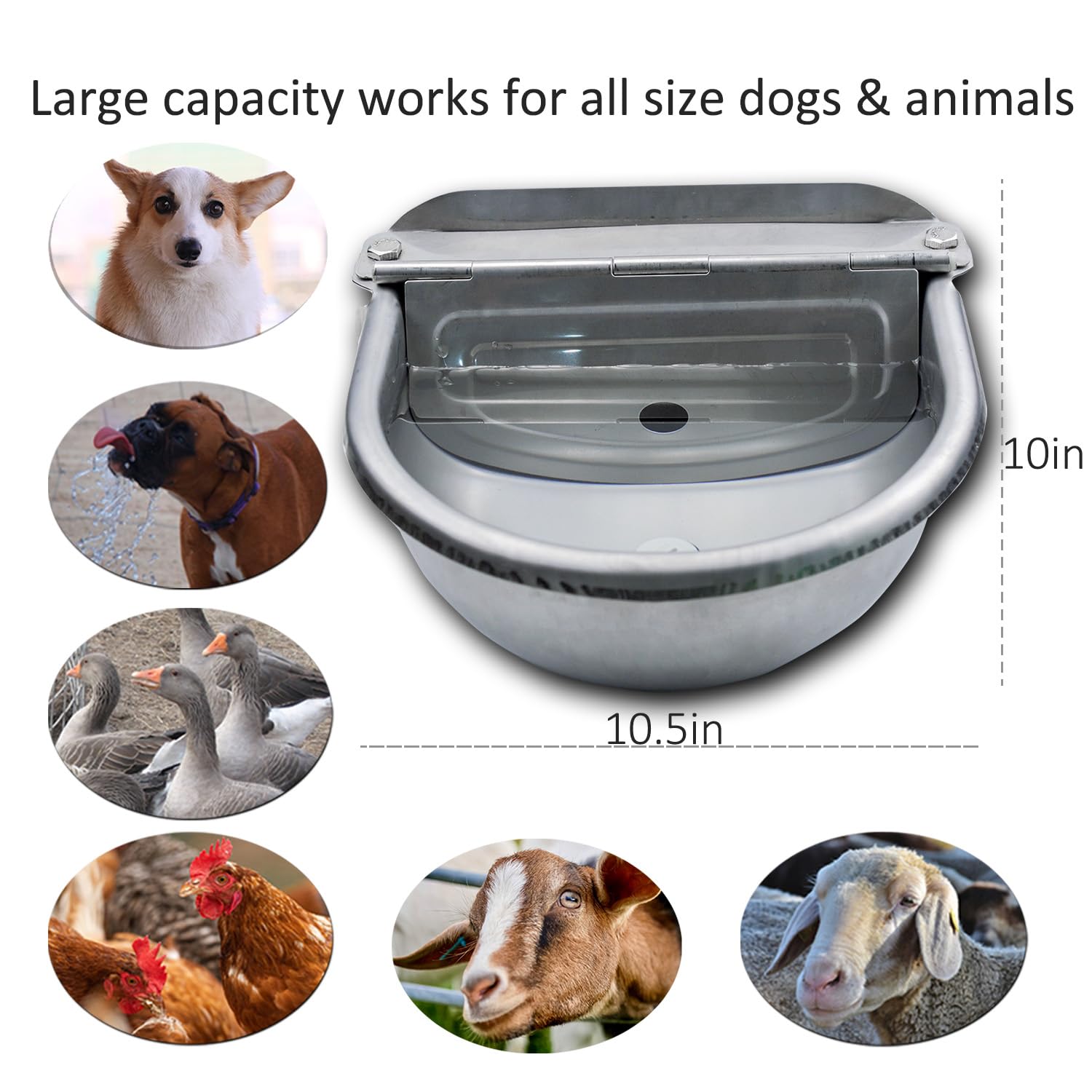 AKUATUZ stainless steel dog waterer with drain hole for easy cleaning.
