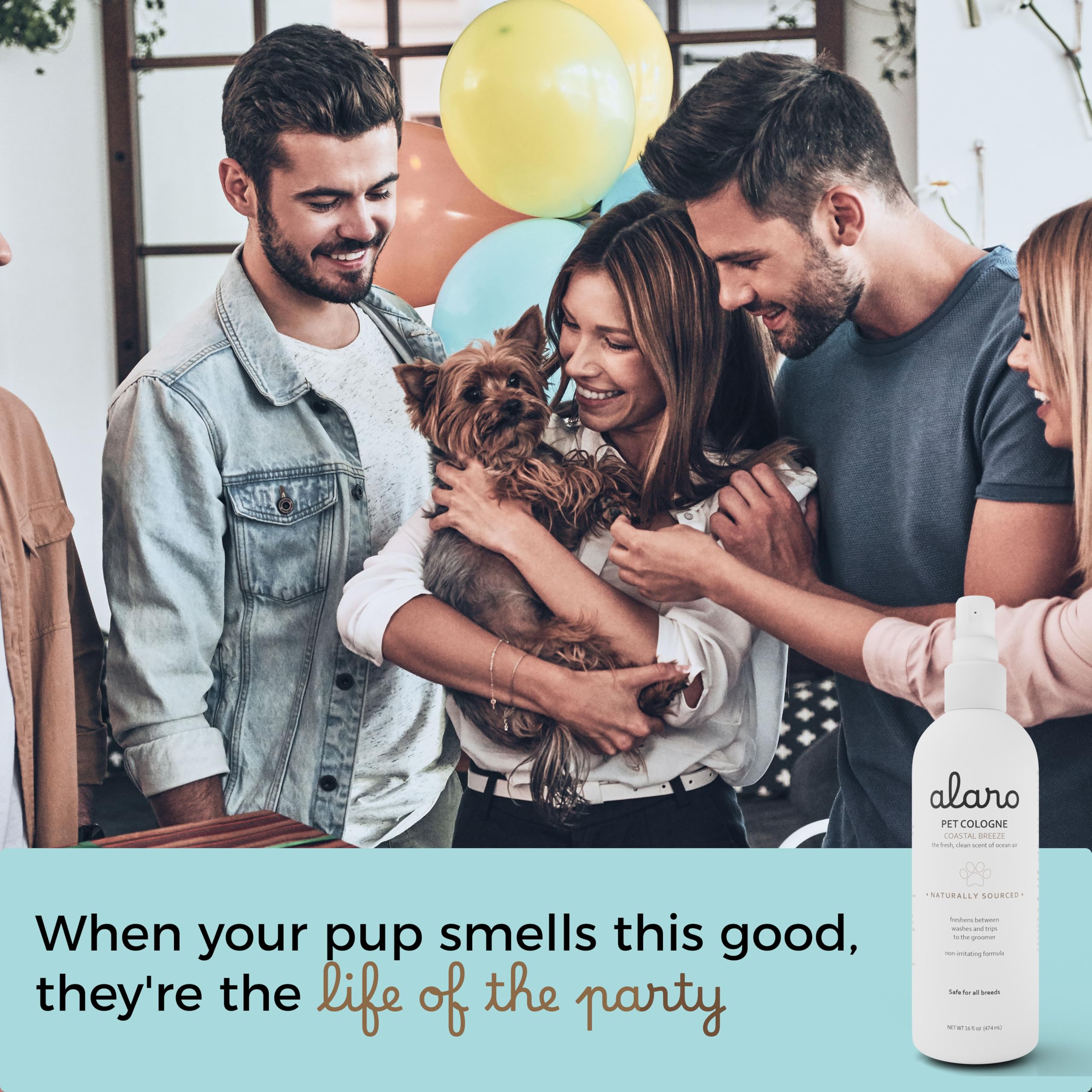 Alaro Dog Cologne Spray mist drifting in air to freshen the room.