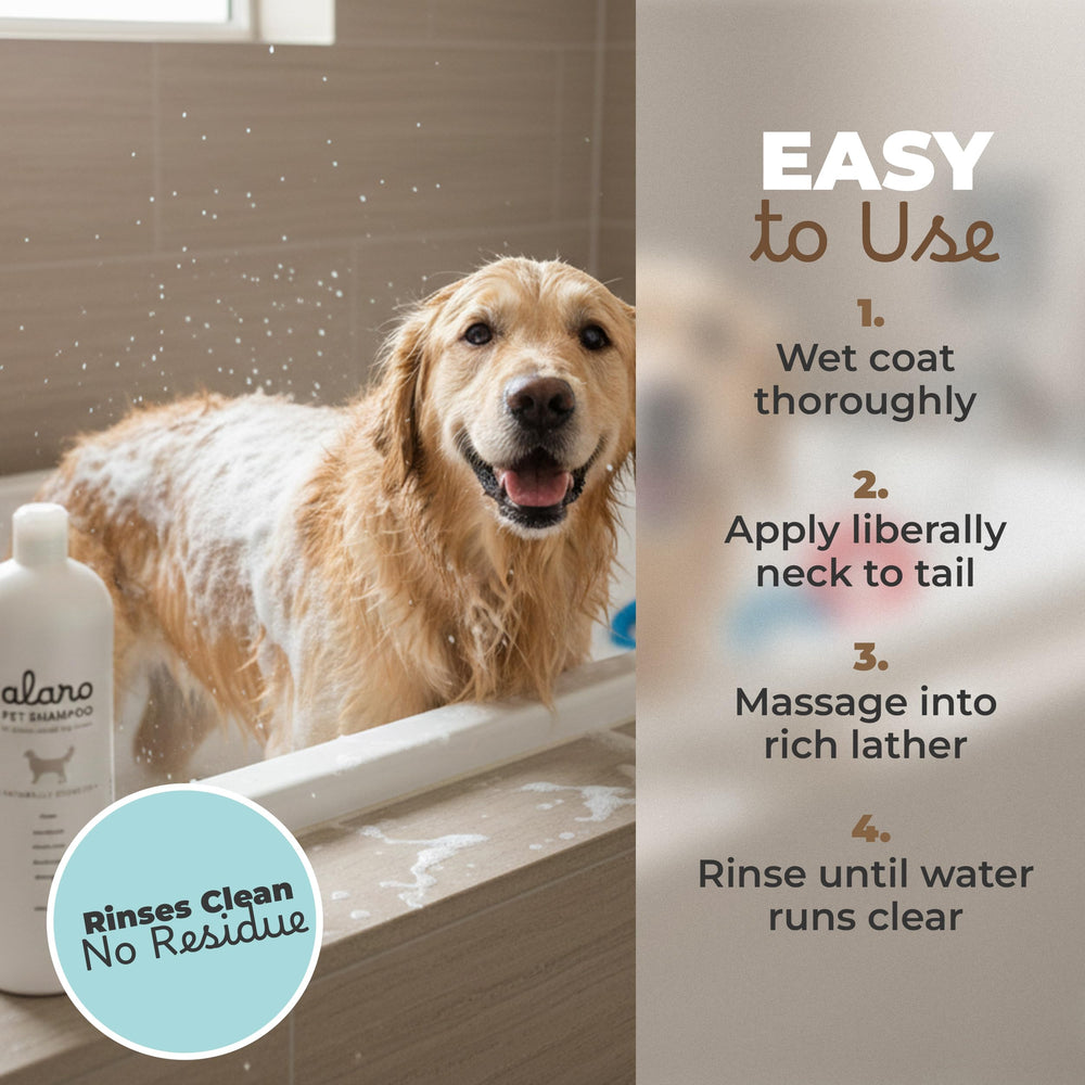 Happy dog with healthy double coat after Alaro