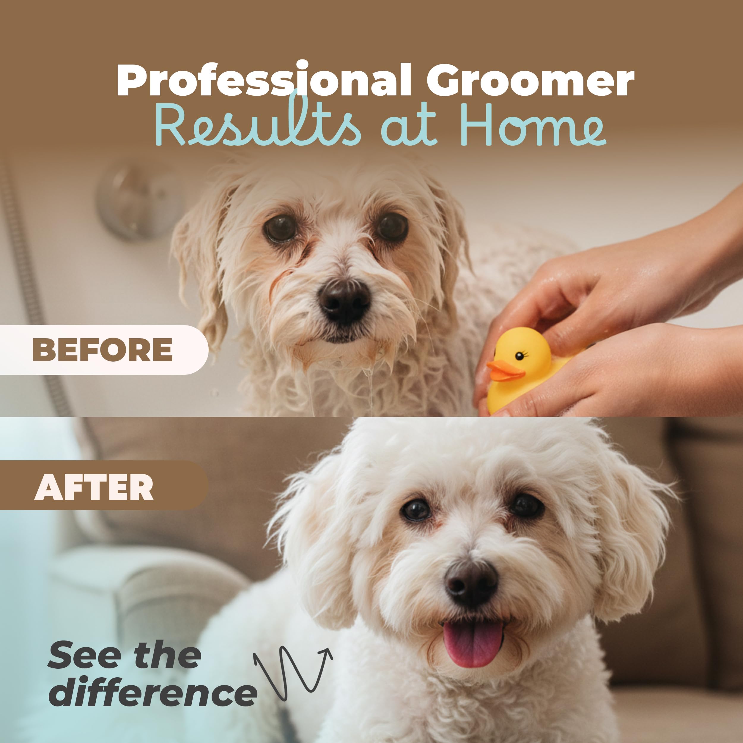 Groomer using Alaro on dog during session